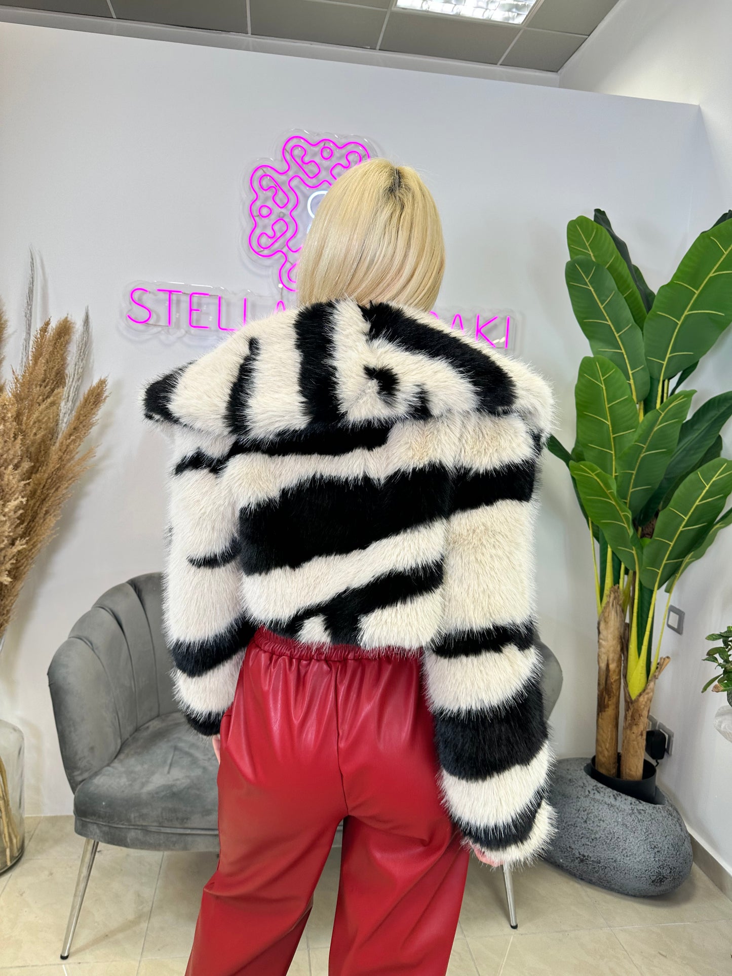 Zebra fur